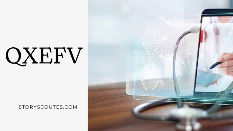 Understanding QXEFV: A Holistic Approach to Customer-Centricity